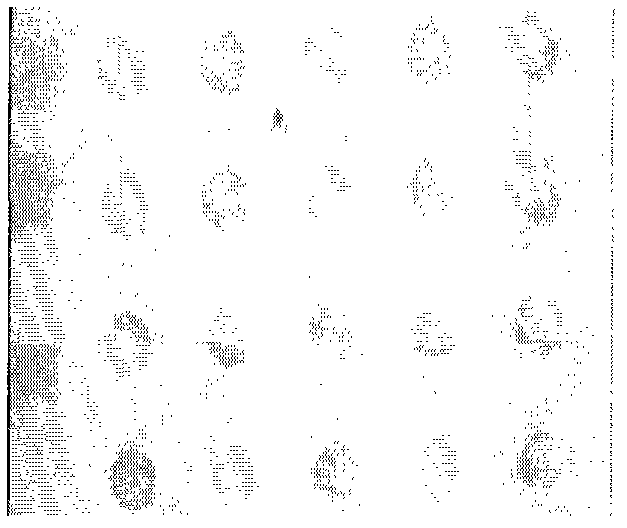 Method for identifying sampling points of biological chip on basis of edge detection