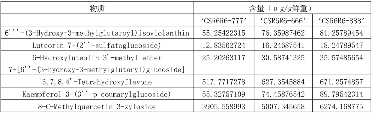 Sweet and soft high-flavonoid cider and preparation method thereof