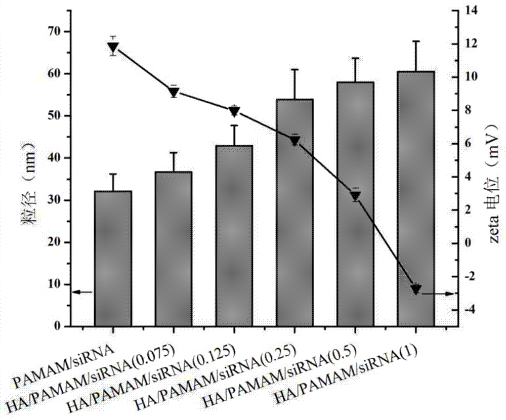 Self-assembled nano-gene vector compound based on PAMAM (Poly Amido-Amine) and preparation method thereof