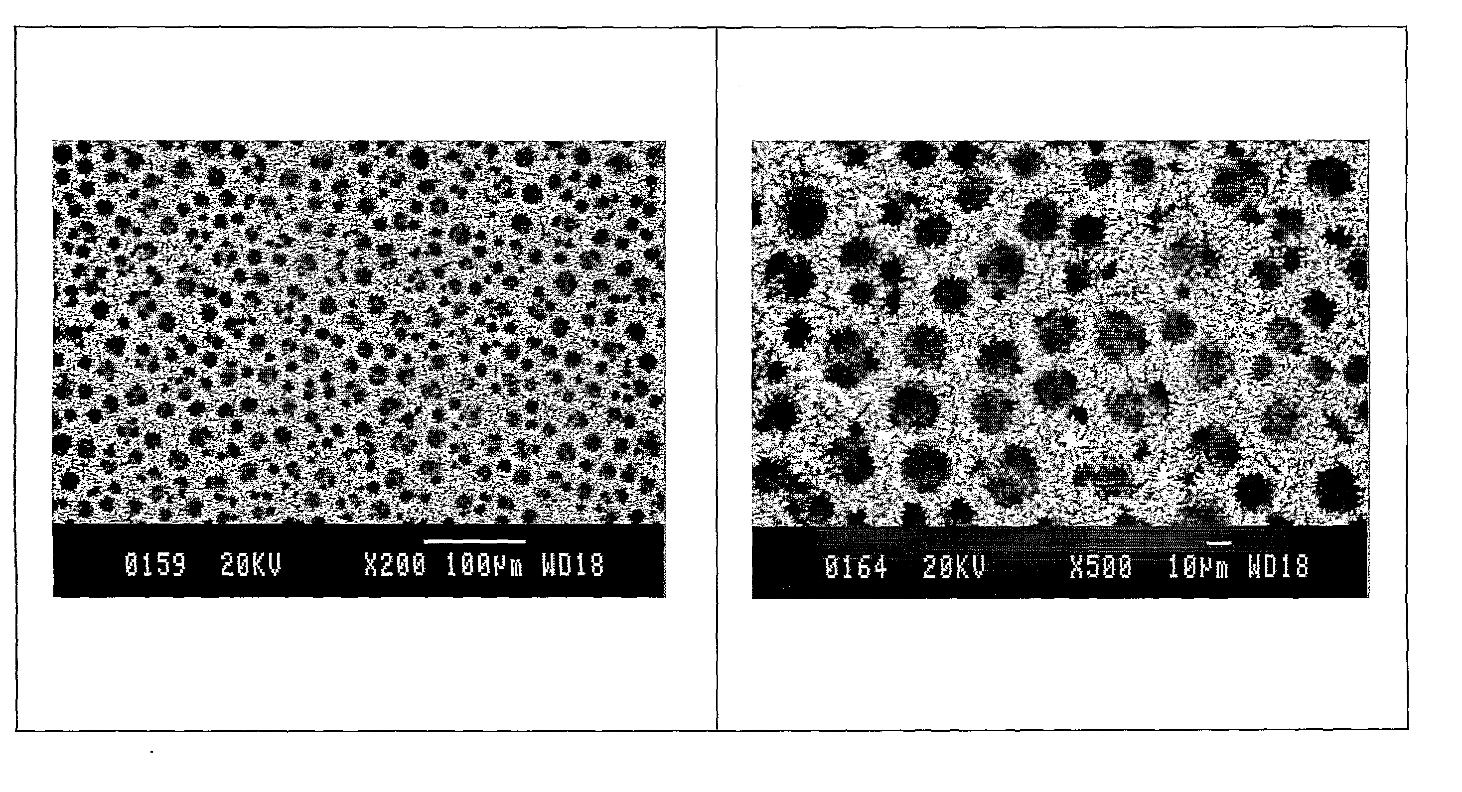 Porous Layer