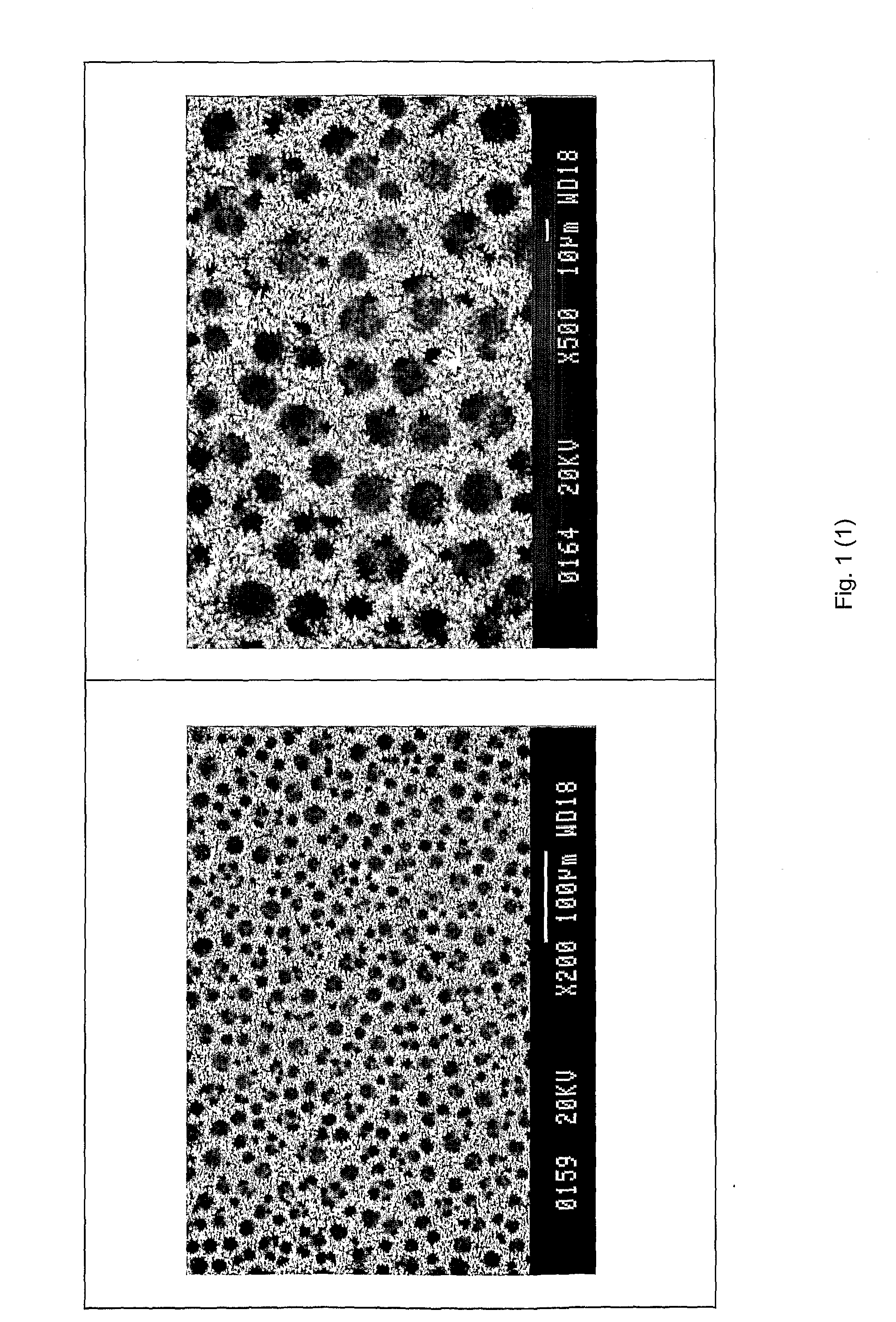 Porous Layer