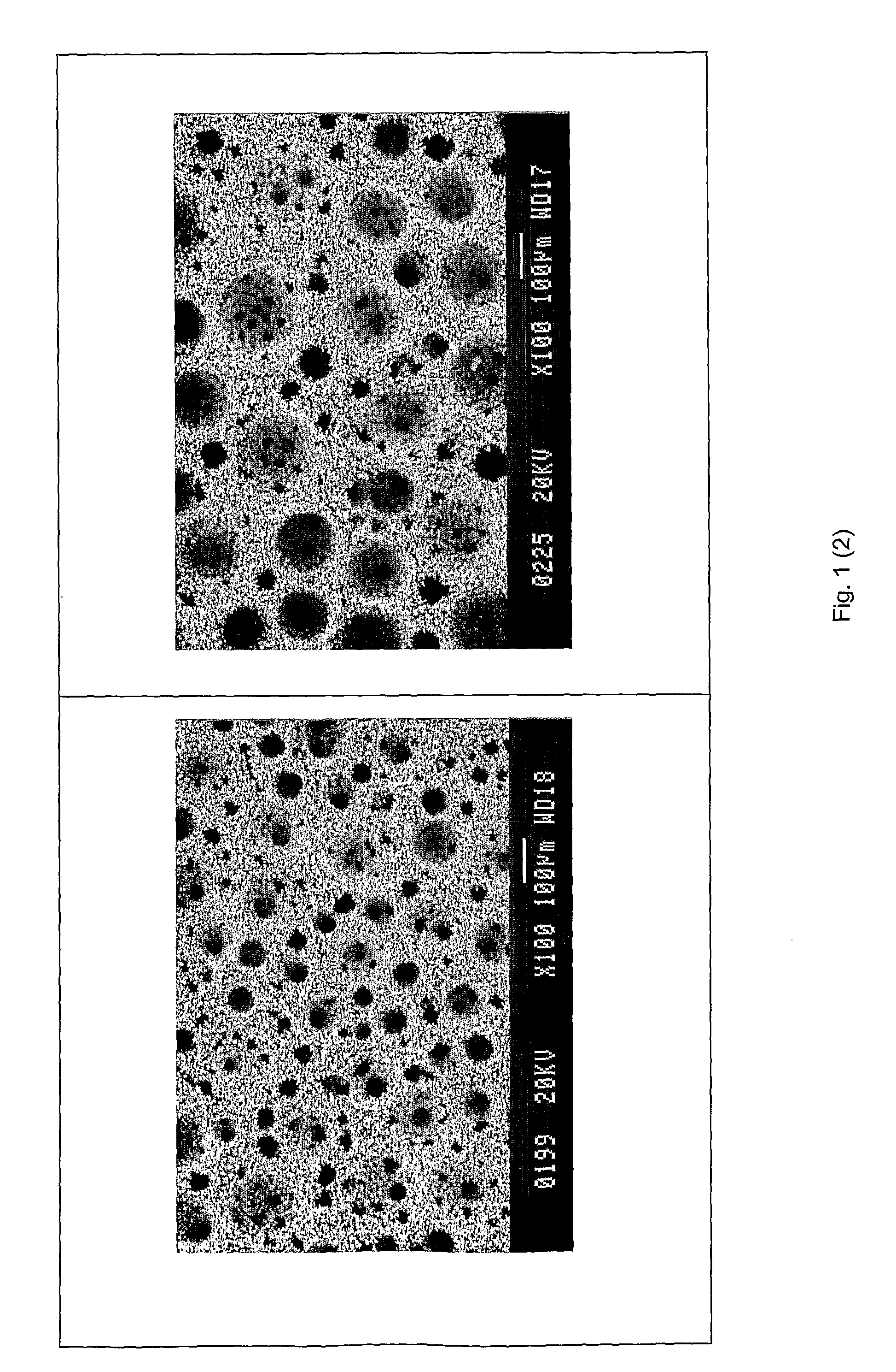 Porous Layer