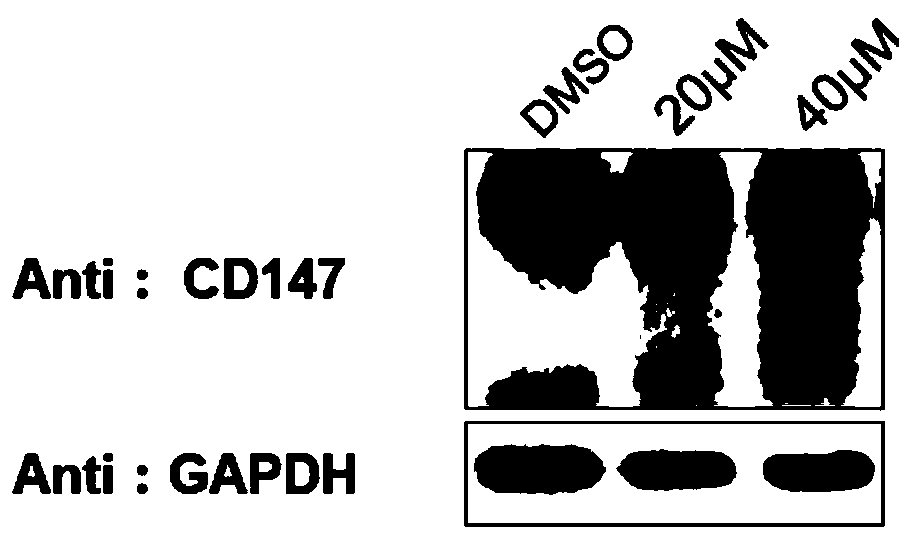 Bifunctional organic compound and preparation method and application thereof