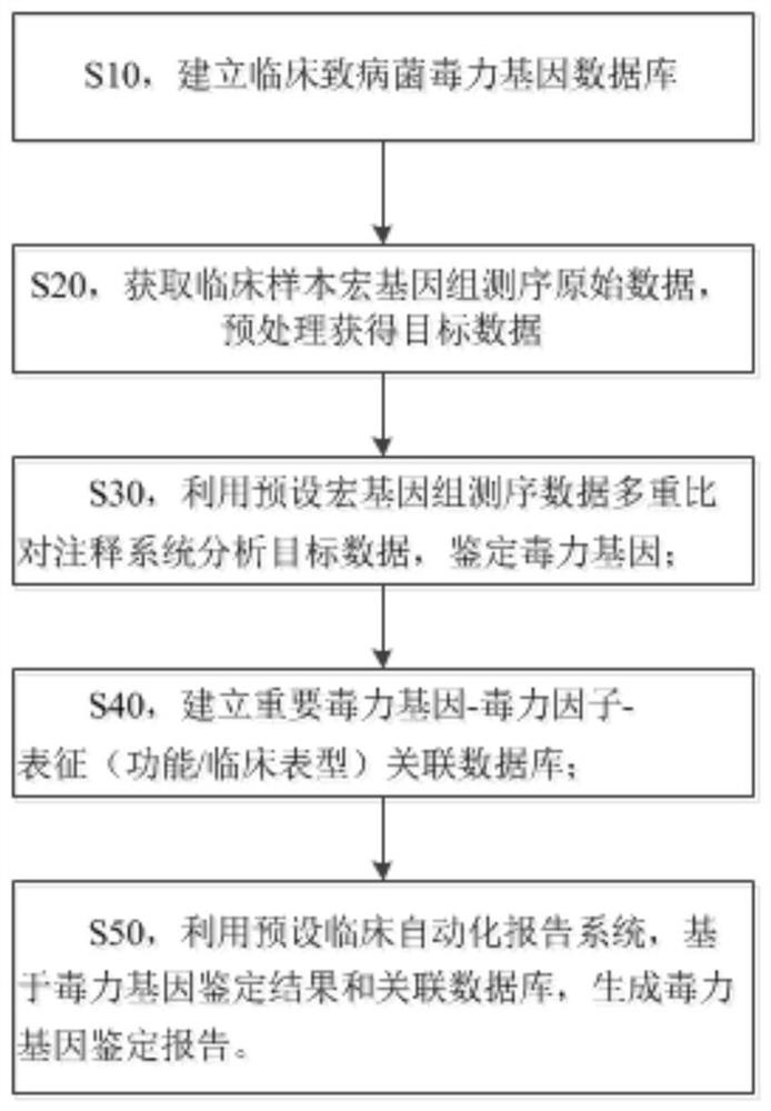 Metagenome-based clinical important pathogenic bacterium virulence gene detection method and system