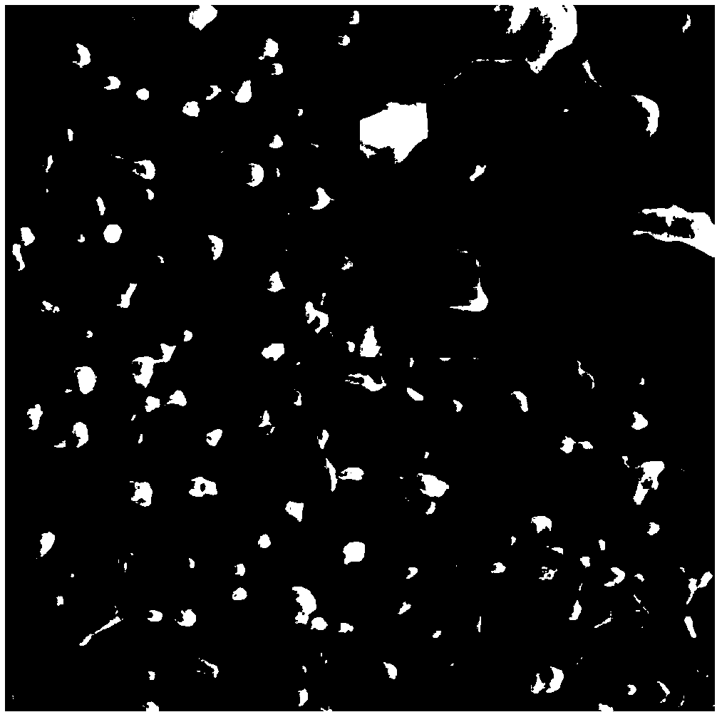 Multi-drug controllable-loading and long-acting slow-released biomedical coating material and preparation method thereof