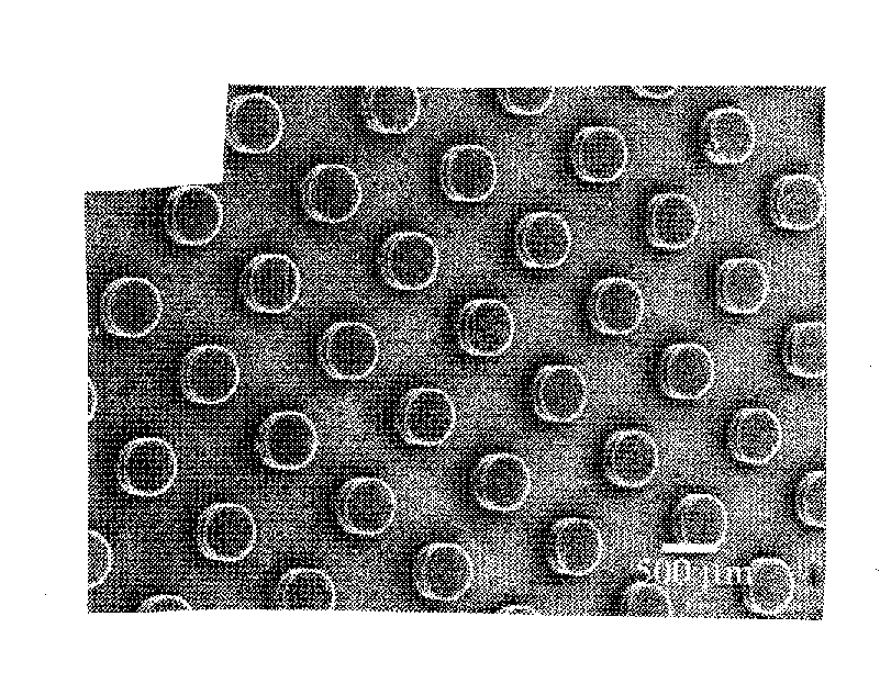 Aligned Carbon Nanotube-Polymer Materials, Systems and Methods