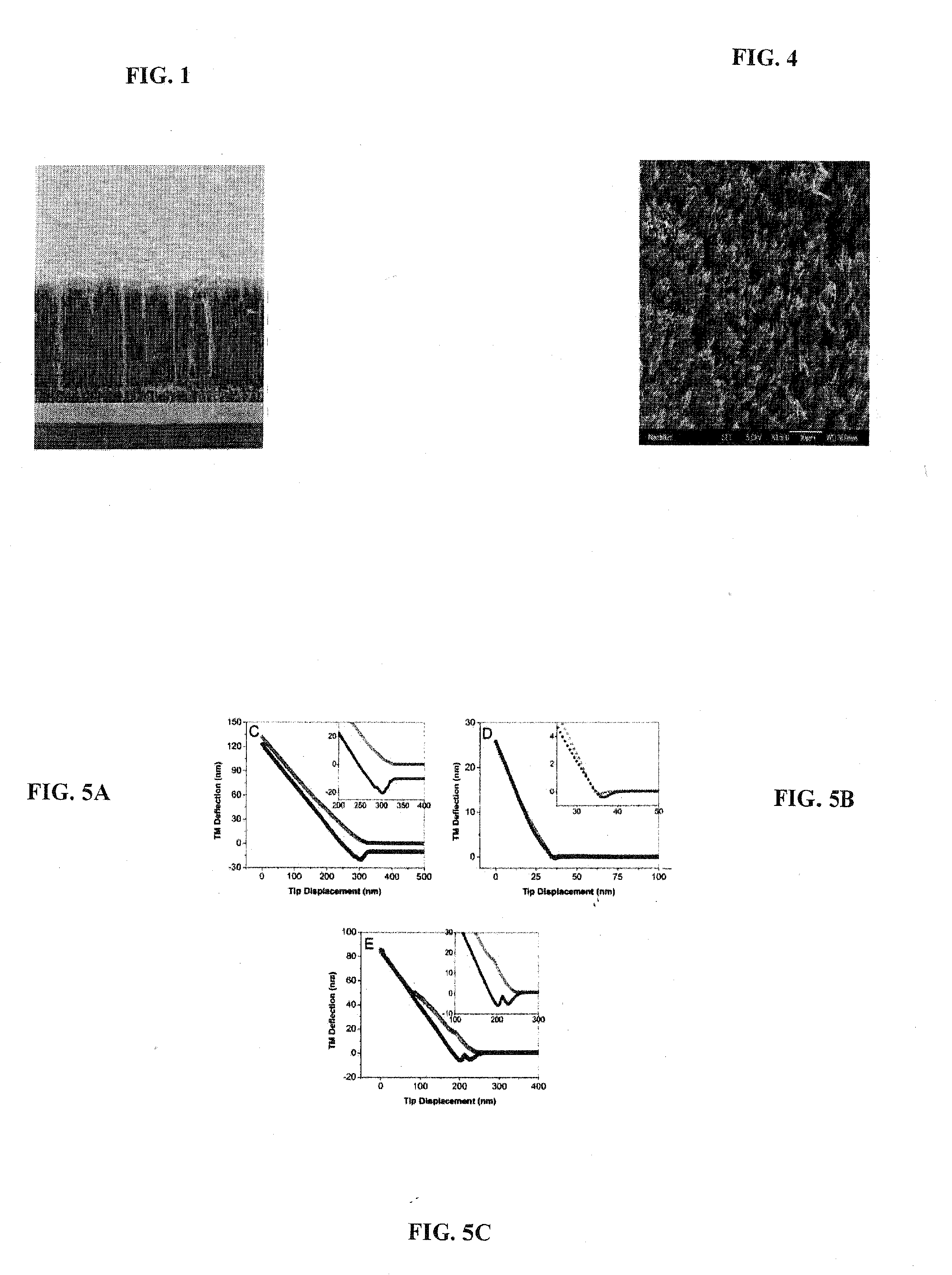 Aligned Carbon Nanotube-Polymer Materials, Systems and Methods