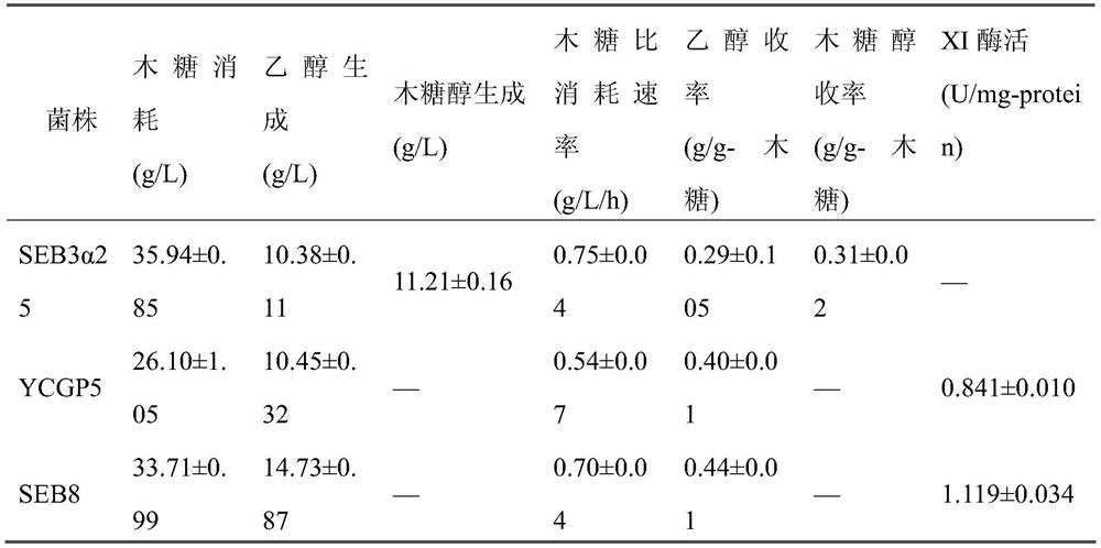 A Saccharomyces cerevisiae strain expressing xylose isomerase and its construction method