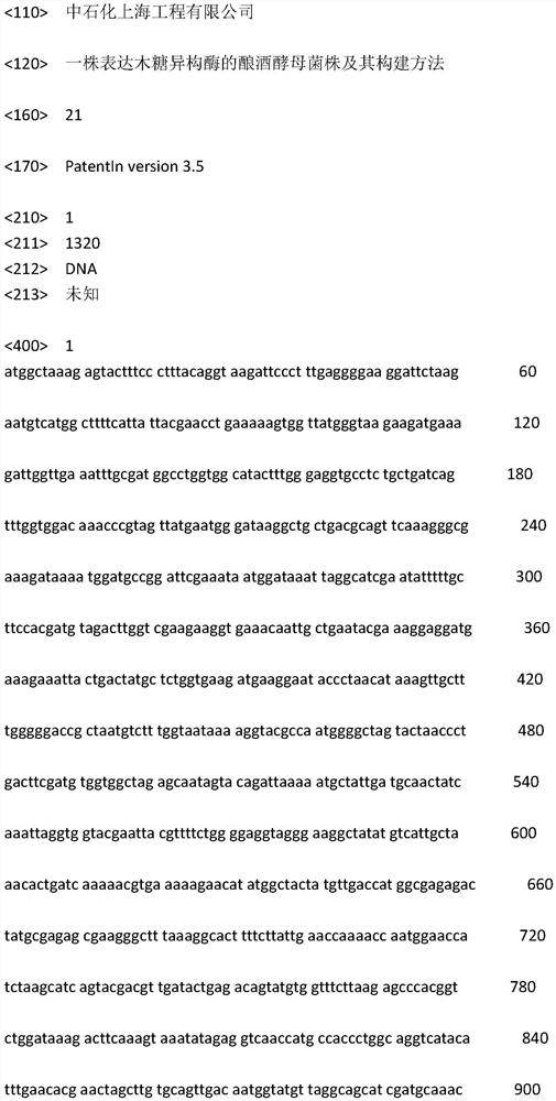 A Saccharomyces cerevisiae strain expressing xylose isomerase and its construction method