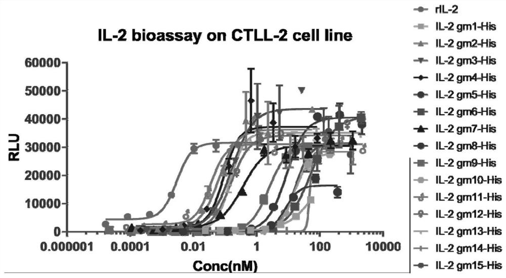 Mutant protein for proliferating immune cells