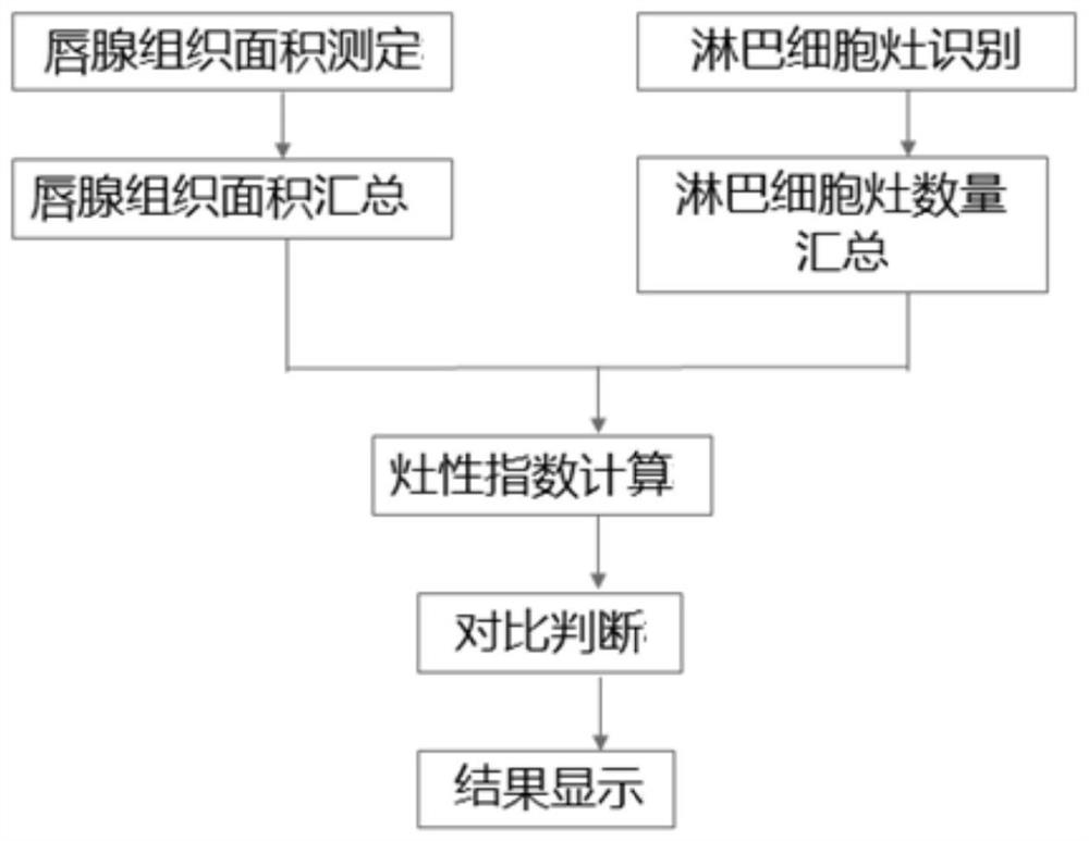 Intelligent analysis system and method for labial gland pathology