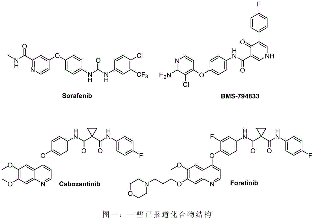 Biaryl amide structure containing sorafenib derivative as well as preparation method and applications thereof