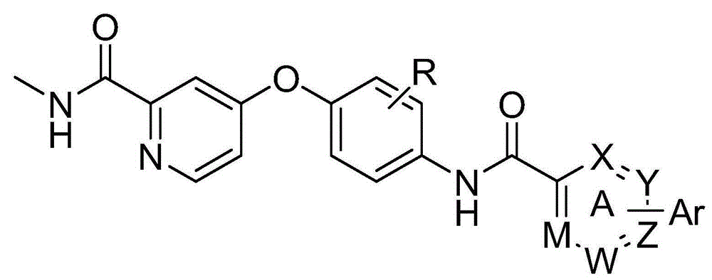 Biaryl amide structure containing sorafenib derivative as well as preparation method and applications thereof