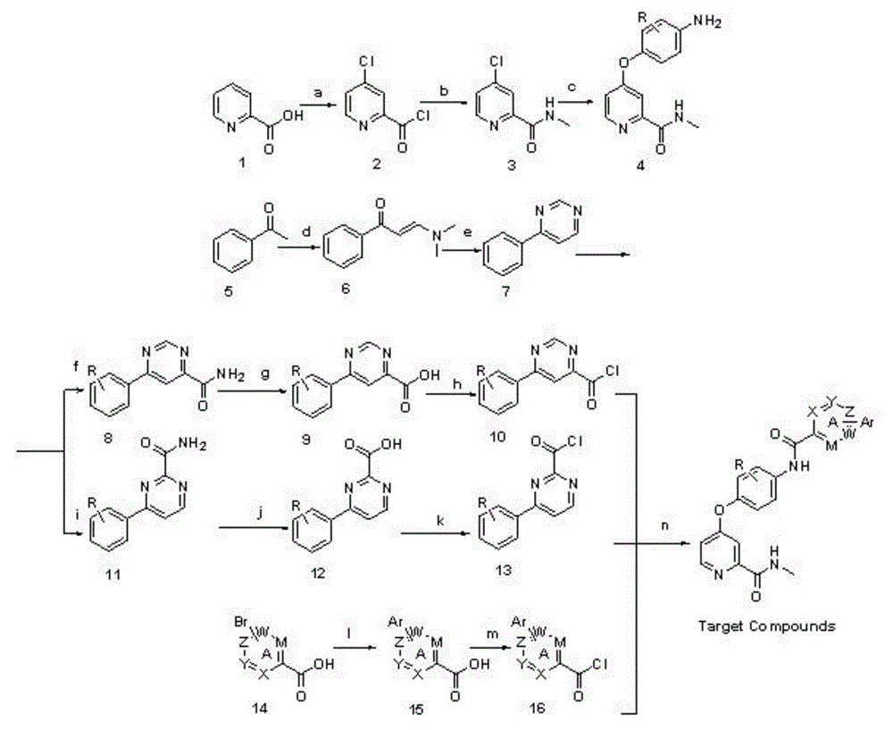 Biaryl amide structure containing sorafenib derivative as well as preparation method and applications thereof