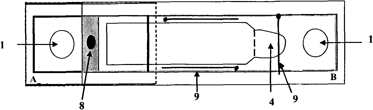 Adjustable scalding frame for producing scalding model