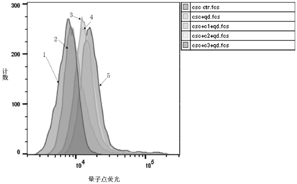 A polypeptide specifically targeting triple-negative breast cancer stem cells and its application