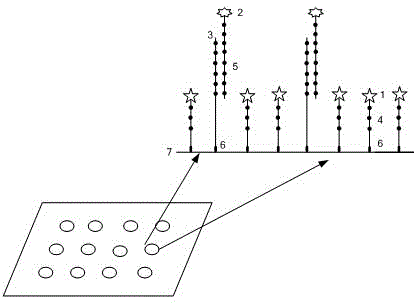 Gene chip detection method based on mixed probe