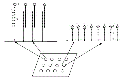 Gene chip detection method based on mixed probe