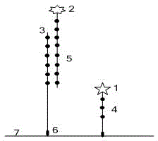 Gene chip detection method based on mixed probe