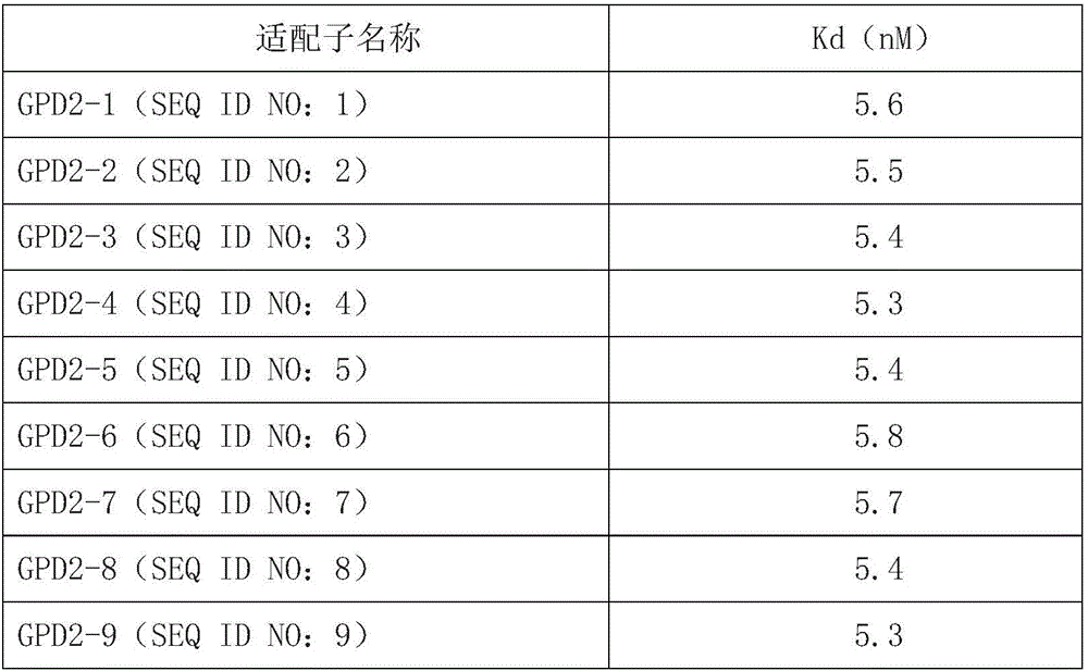 Gene chip for detecting hypertension and kit thereof