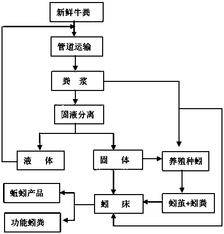 Method for rapidly propagating earthworms and producing high-quality earthworm manure by using solid-liquid separated cow dung and manure slurry