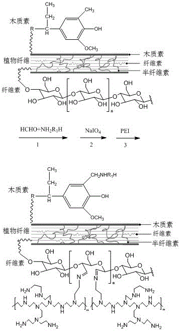 Plant fiber based solid amine adsorption material, preparation method and application thereof