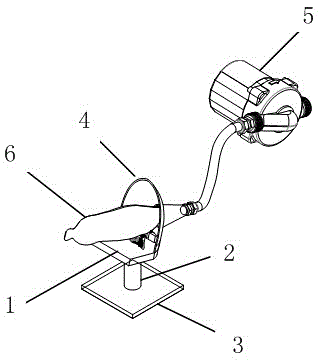 Underwater wireless charging device of robot fish