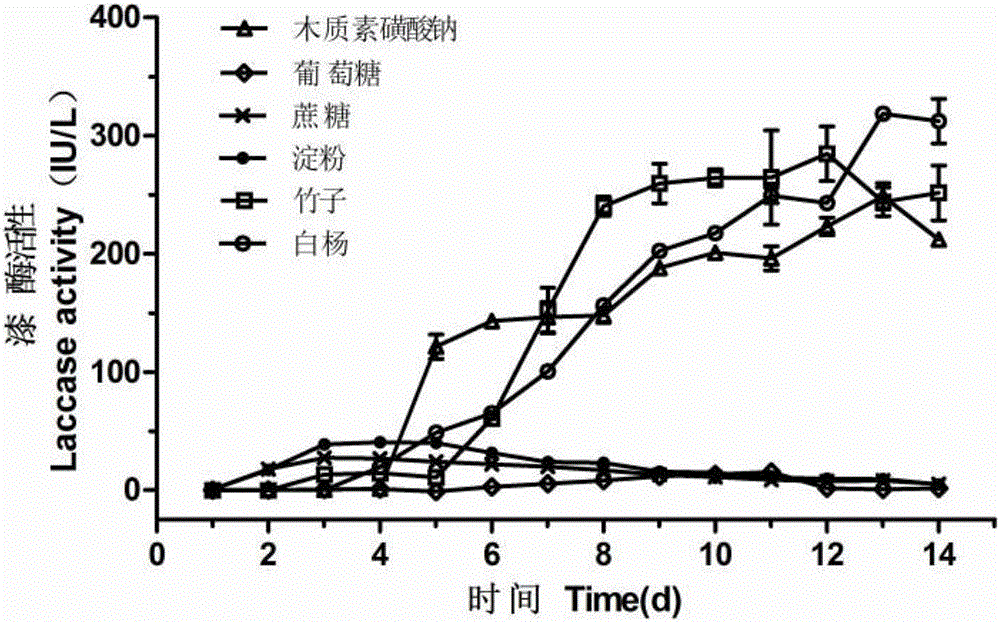 Culture preparation method and application of trametes hirsuta laccase with dyestuff synergistic degradation effect