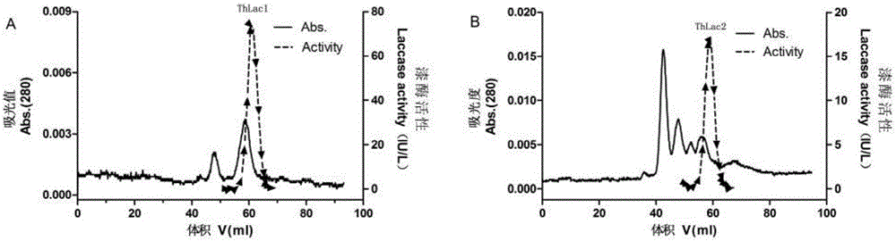 Culture preparation method and application of trametes hirsuta laccase with dyestuff synergistic degradation effect