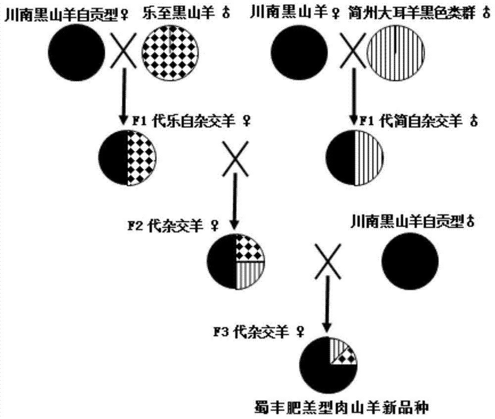 Breeding method of a kind of Shufeng fat lamb type meat goat