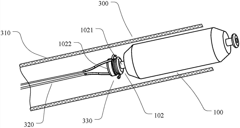 Intracardiac implant and fixing method thereof