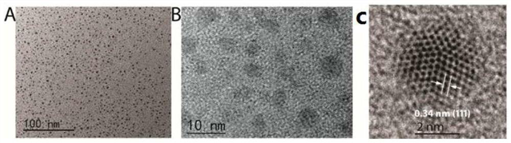 Preparation of a composite bifunctional perovskite material with combined thermoluminescence and photoluminescence properties