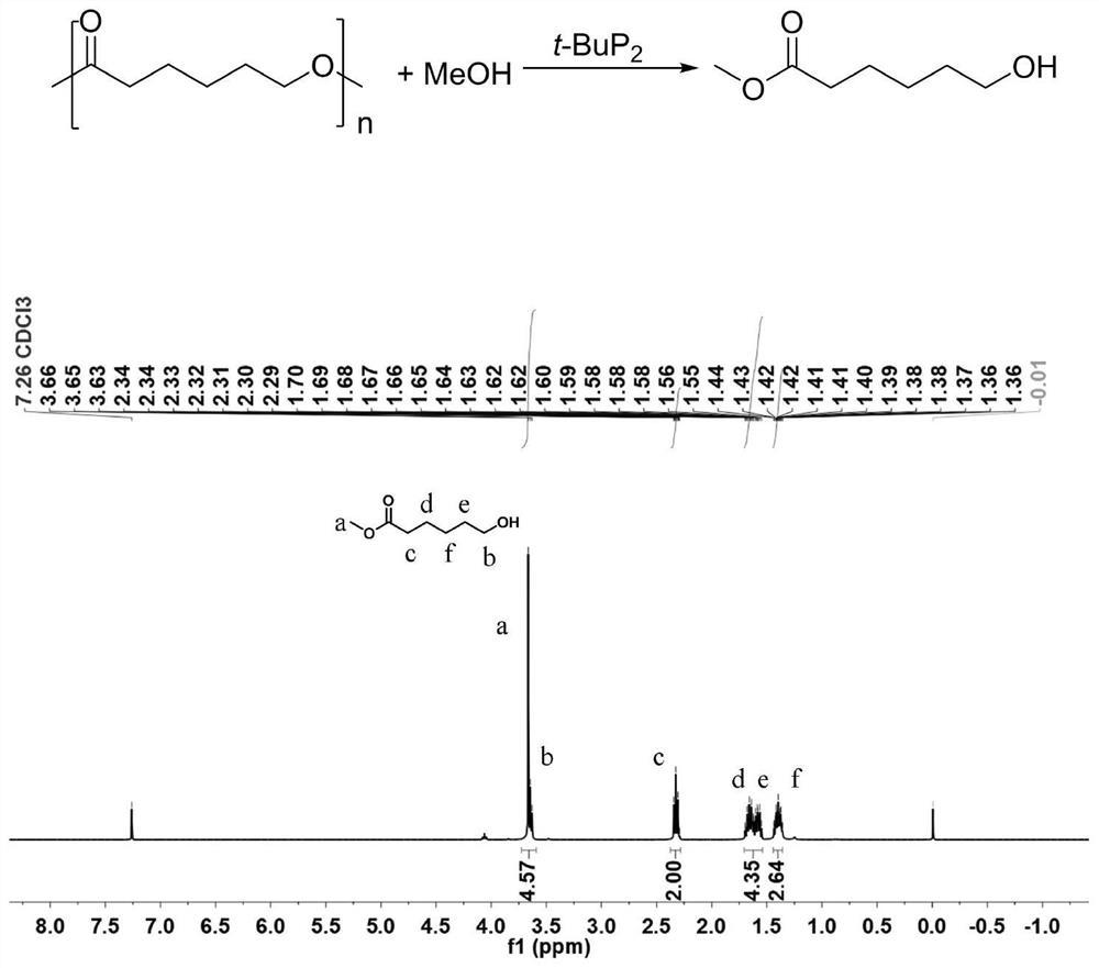 Organic base catalyst and method for catalyzing alcoholysis of polycaprolactone by using organic base catalyst