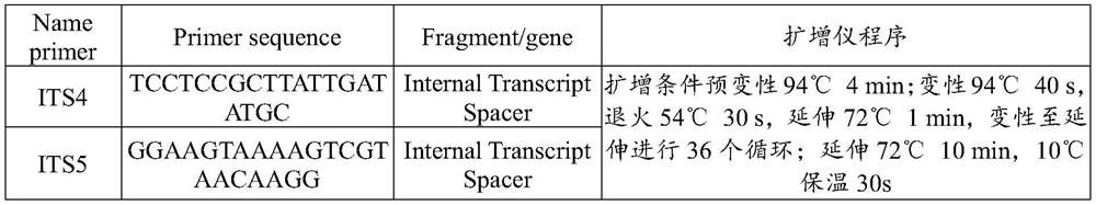 Chaetomium globosum, fungicide, seed soaking solution and application thereof