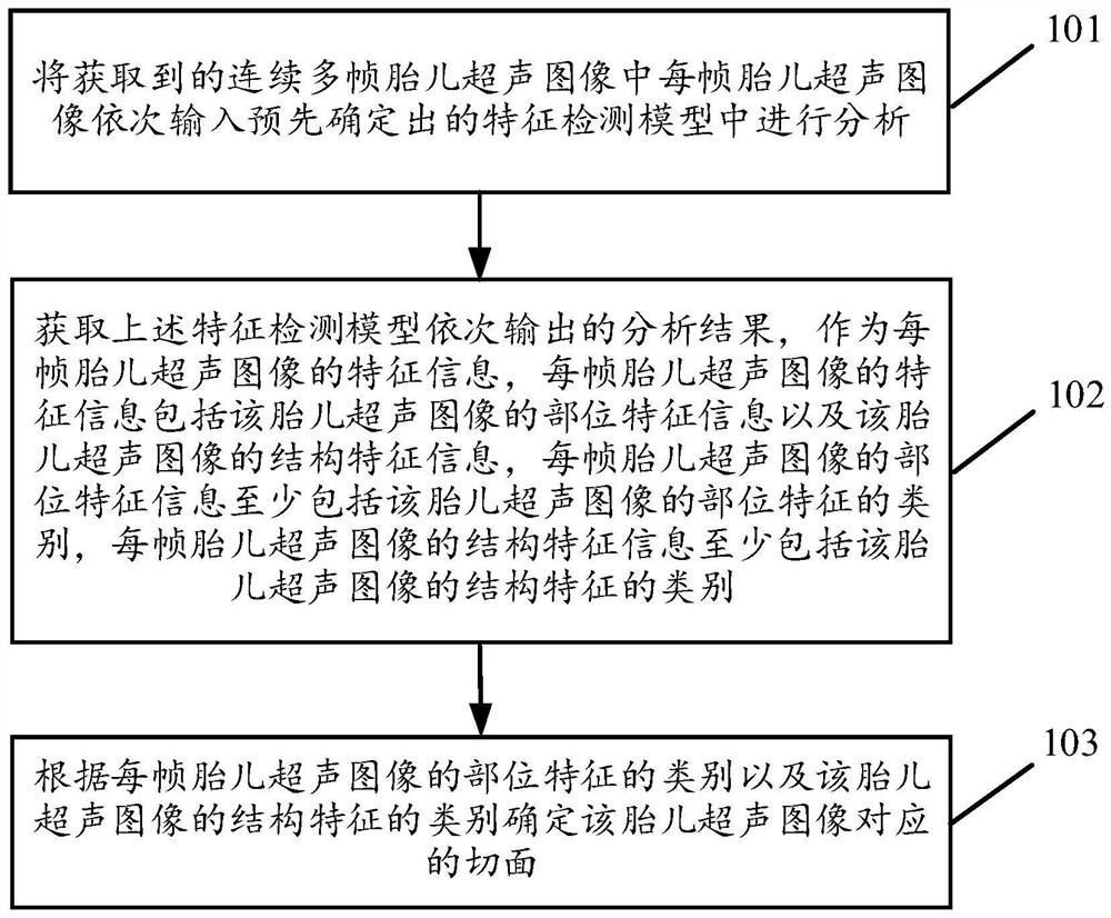 Fetal section determination method and device based on ultrasonic dynamic image