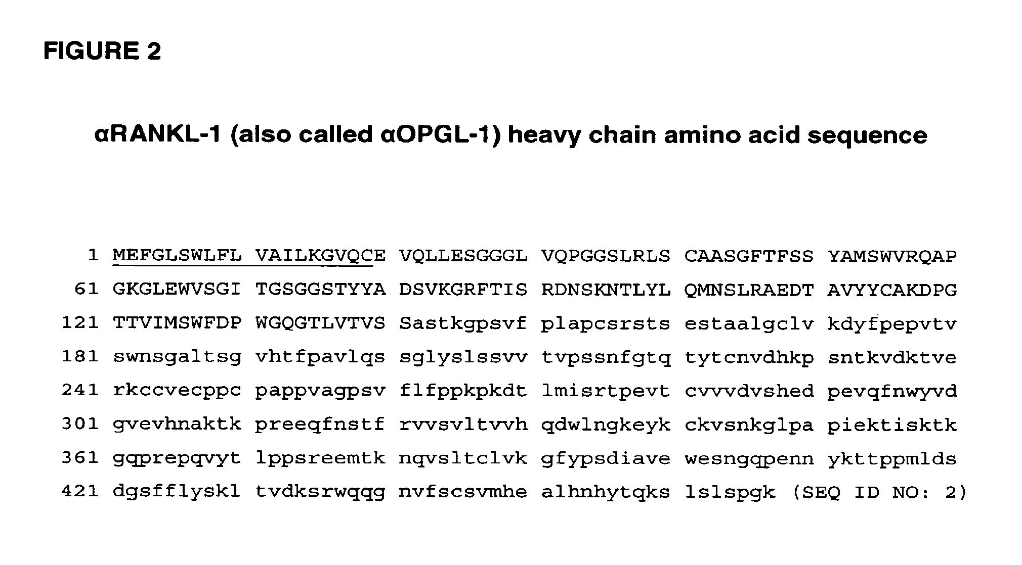 RANKL ANTIBODY-PTH/PTHrP CHIMERIC MOLECULES