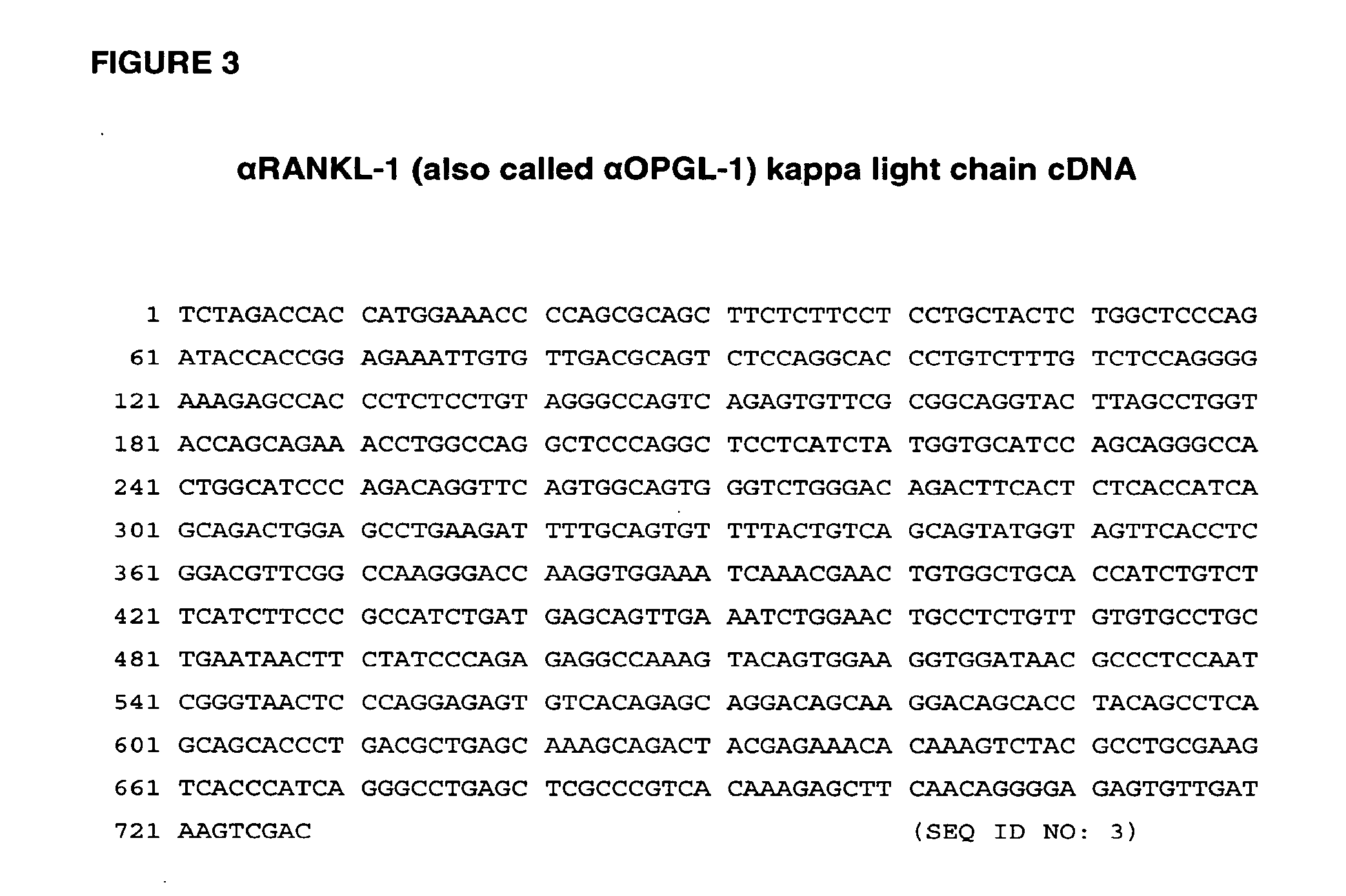 RANKL ANTIBODY-PTH/PTHrP CHIMERIC MOLECULES