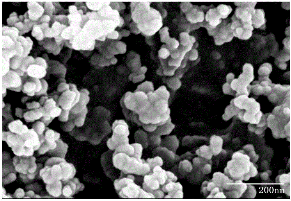 Method for characterizing morphologies of particulate matters in diesel