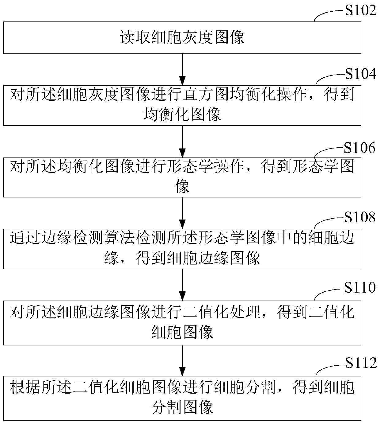 Cell image segmentation method and device, computer equipment and storage medium