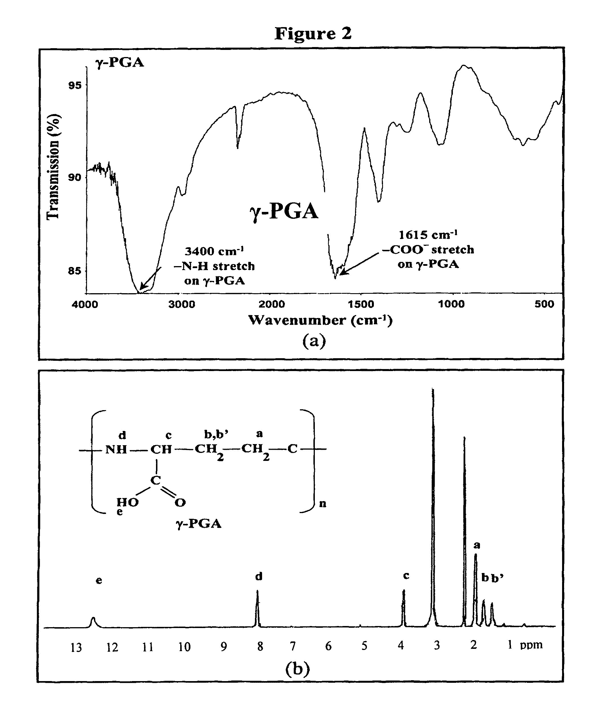 Nanoparticles for protein drug delivery