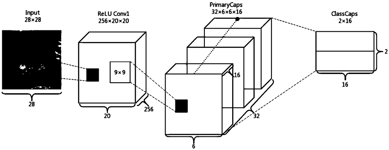 A medical image classification method based on a capsule theory and PLSA routing