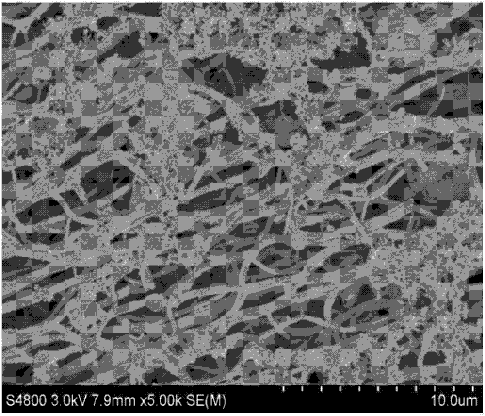 Nitrogen and phosphorus co-doped porous carbon film @ polyaniline hybrid electrode material having interface covalent bond link, and preparation method of hybrid electrode material