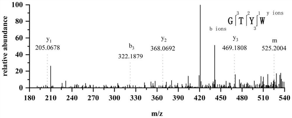 Active peptide with effect of preventing chronic alcoholic liver injury