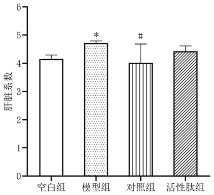 Active peptide with effect of preventing chronic alcoholic liver injury