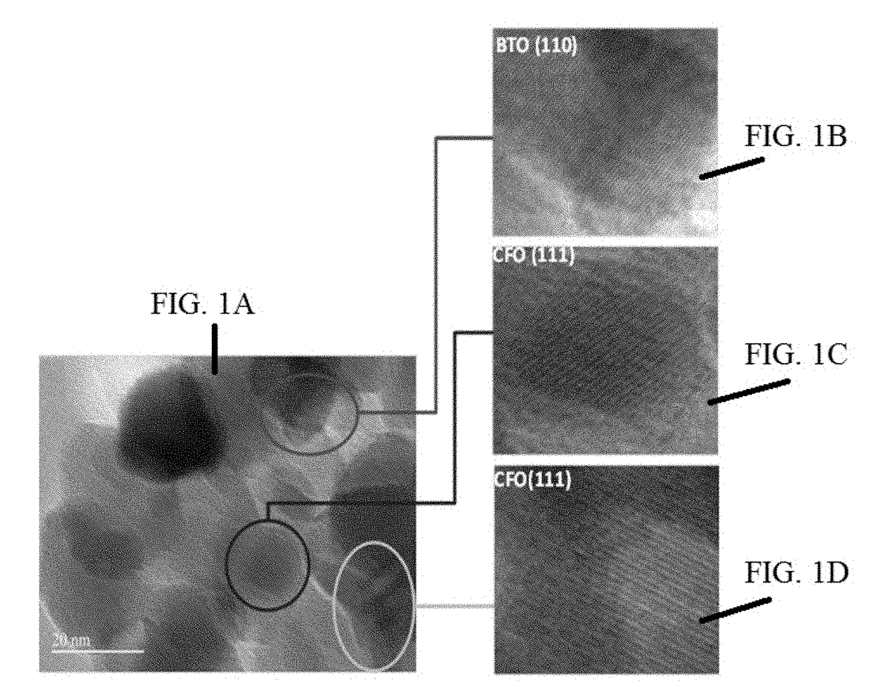 Materials and Methods for the Delivery of a Nanocarrier to the Brain