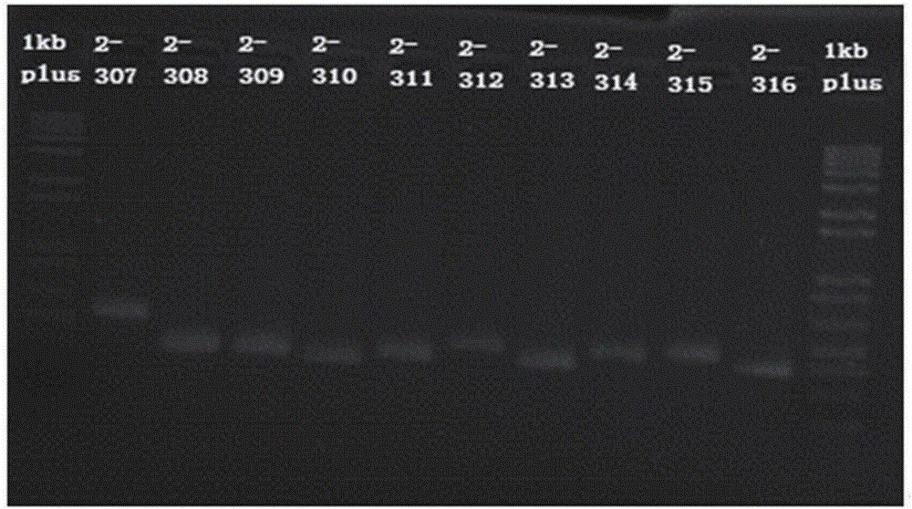 Reagent kit for simultaneously detecting multiple deafness genes on single cell level