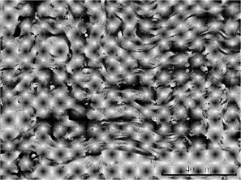 Cavitation corrosion gradient reparation coating of water pump blade and producing method thereof