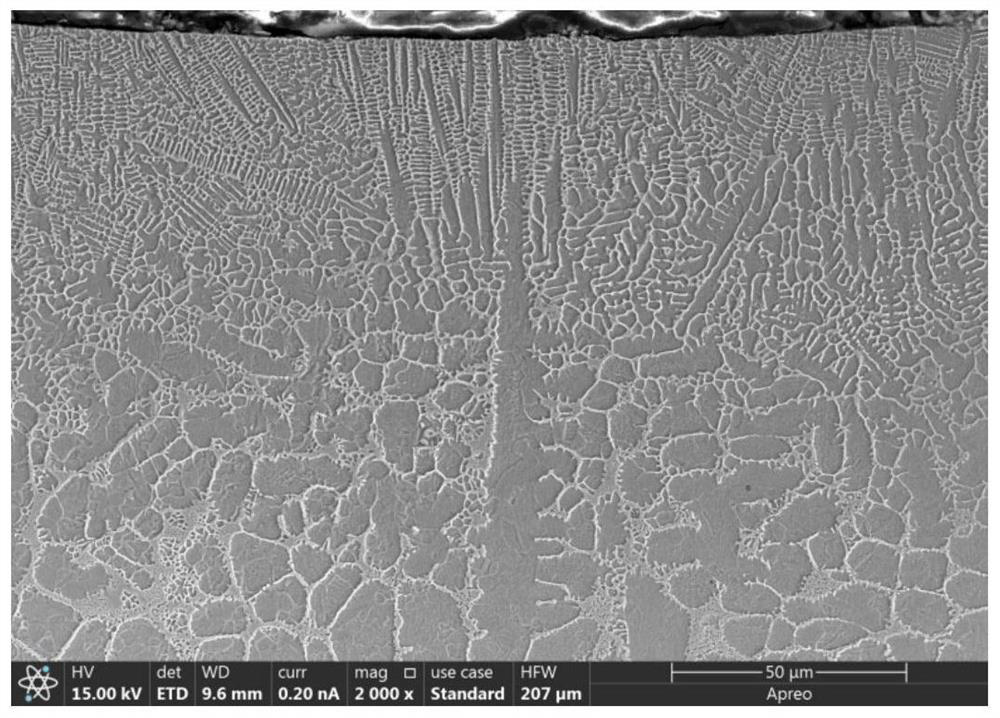 A kind of cellular and columnar composite structure coating used in marine environment and its preparation method