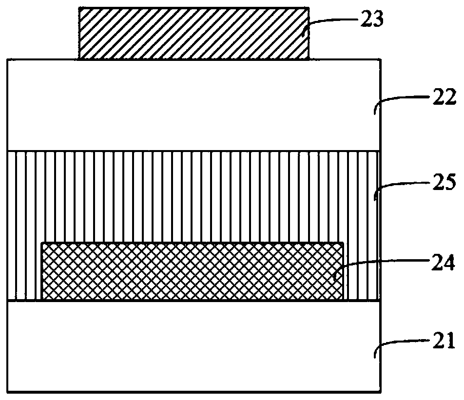 Display panel and display device