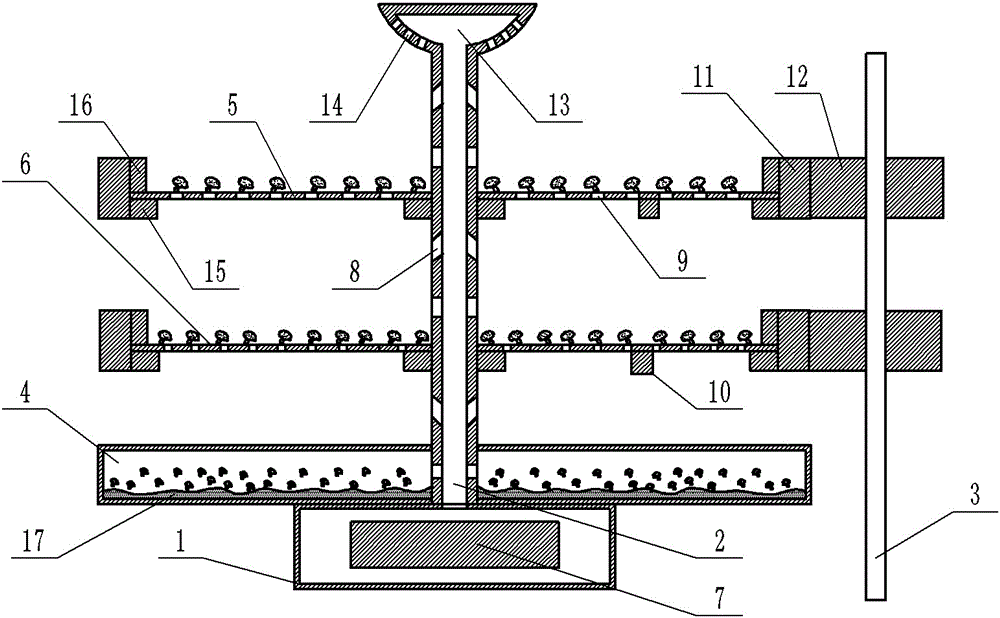 Lentinula edode dehydrating device